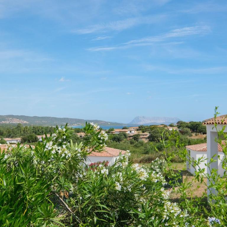 Stupenda vista mare a Tanaunella - Budoni - Appartamento - 3