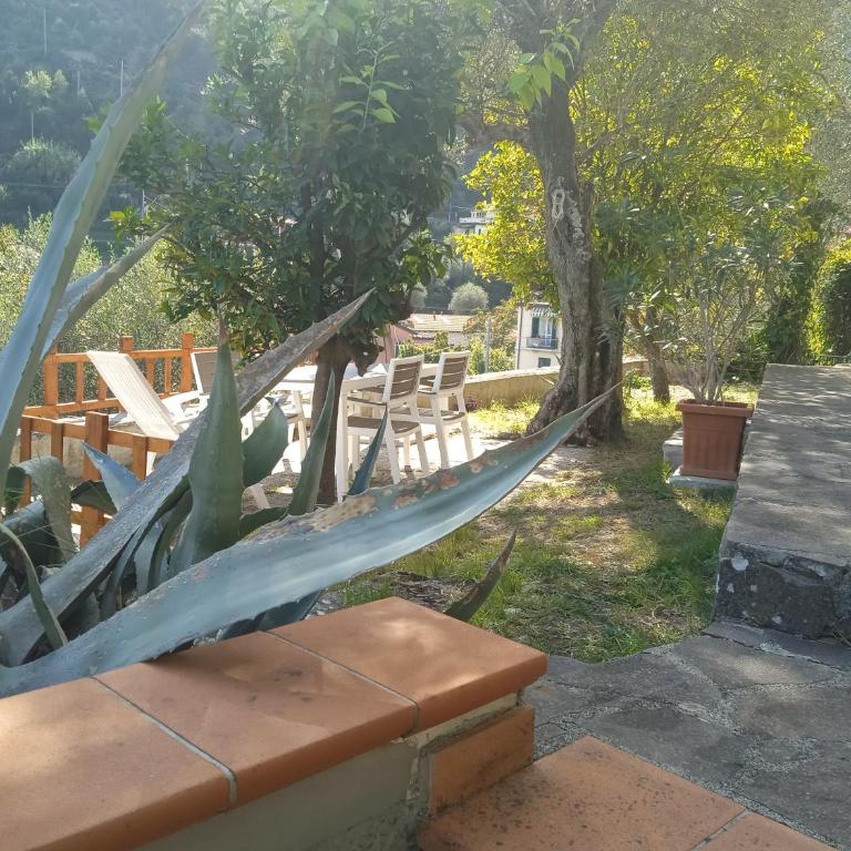 Gli ulivi del Blu parking garden near the sea - Apartment - 35