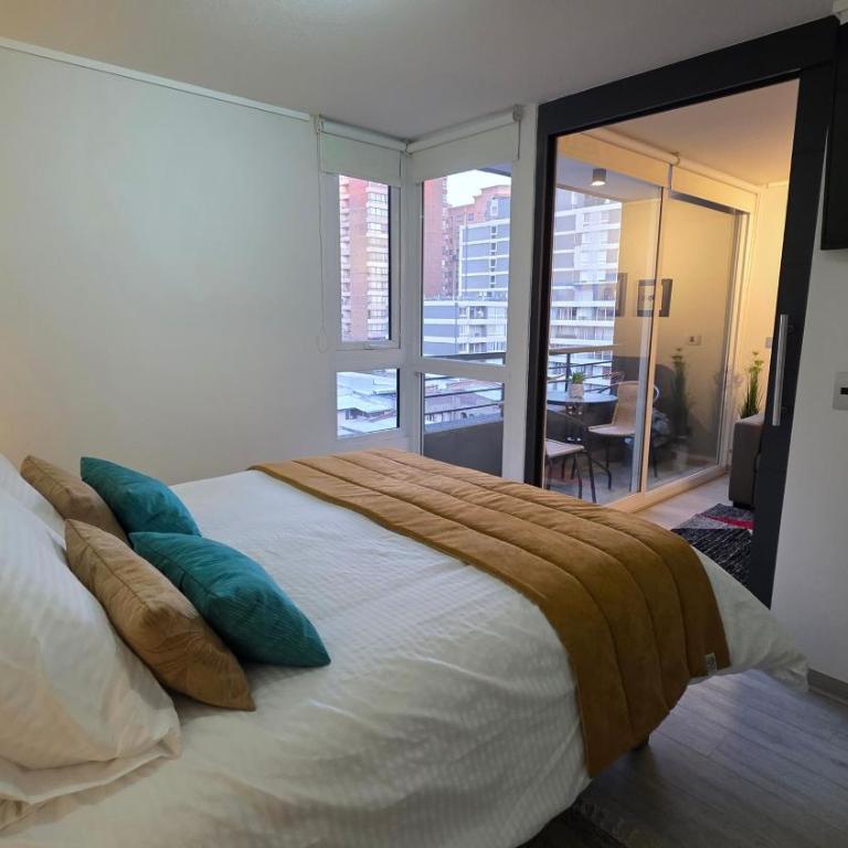 Oceana Suites Cerro Santa Lucia - Apartment with View and Balcony - 17