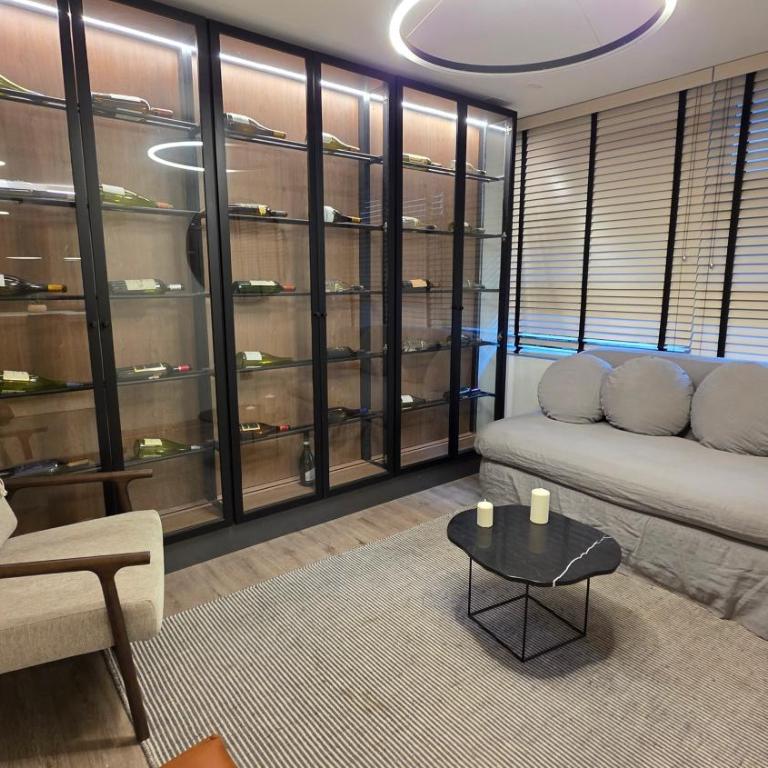 Oceana Suites Cerro Santa Lucia - Apartment with View and Balcony - 25