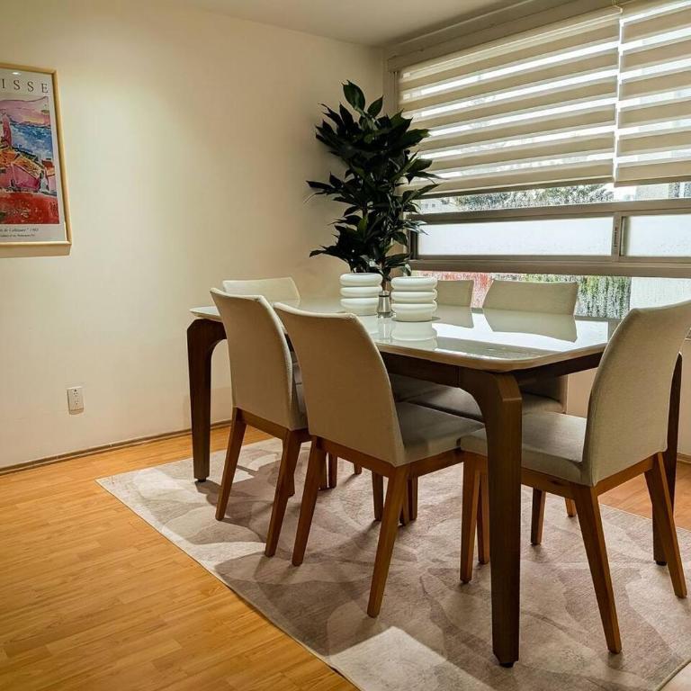 Trendy apartment in San Pedro de los Pinos - Apartamento - 36