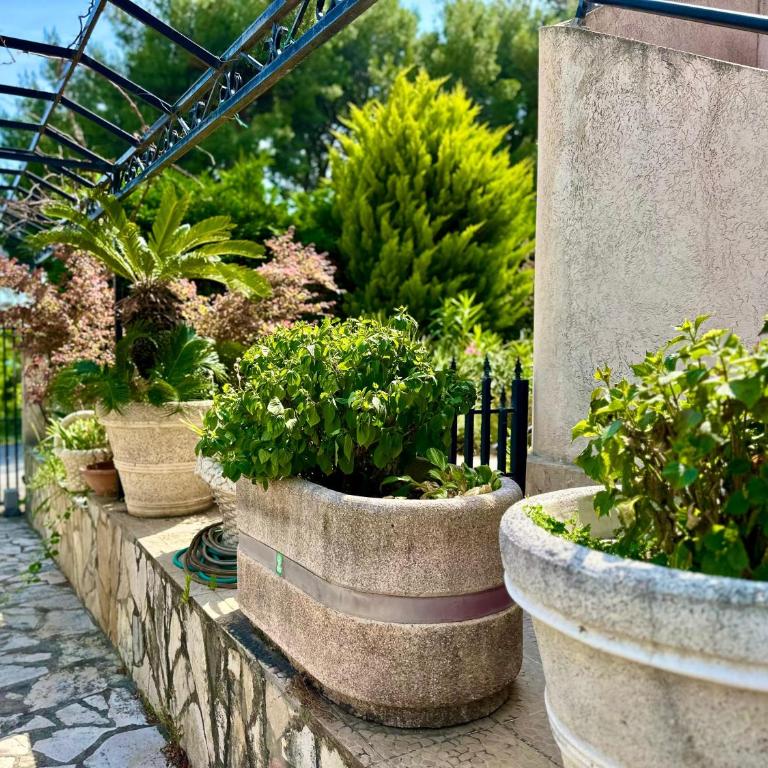 Villa Leo - Vila sa 1 Spavaćom Sobom - 24