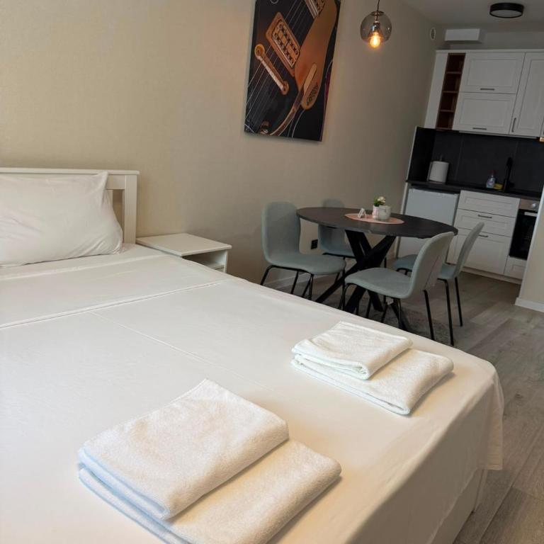 Harmonija studio - One-Bedroom Apartment - 2
