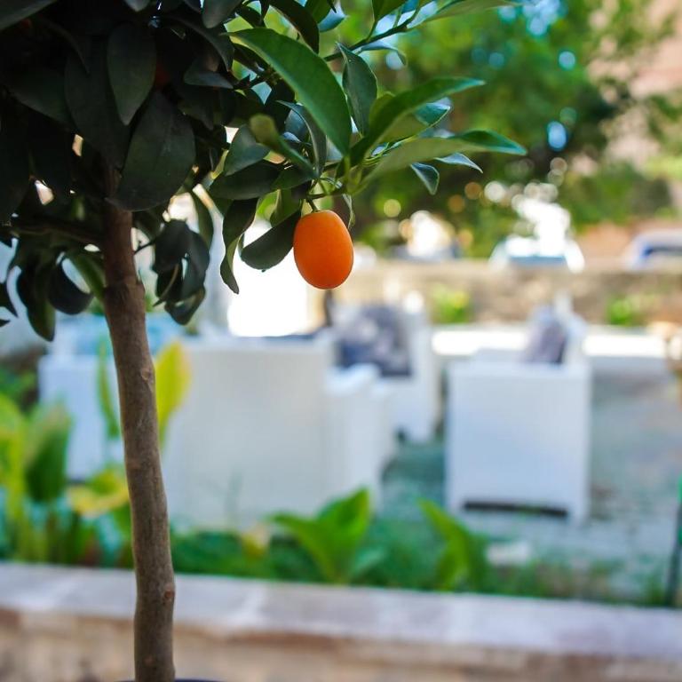 Pura Vida Luxury Rooms - Camera Superior Matrimoniale/Doppia con Letti Singoli - 25