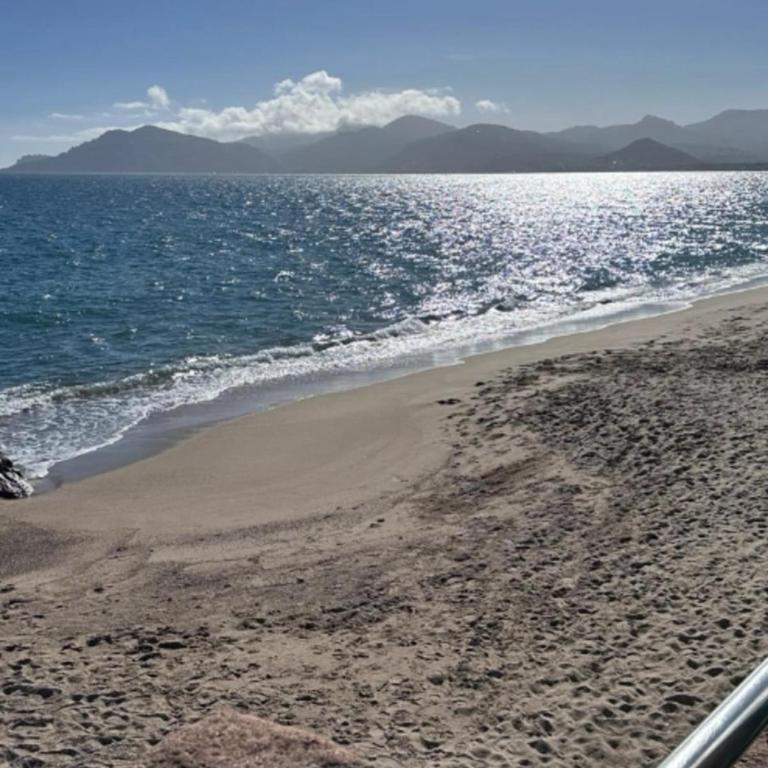 Splendid sea view - 2 comfy rooms - Swimming pools - Appartement - 20