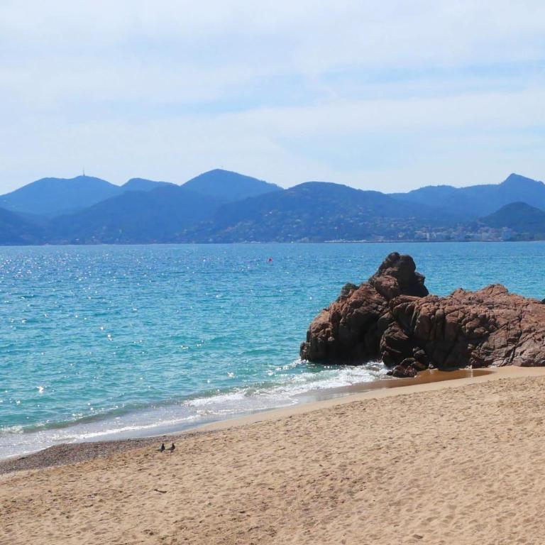 Splendid sea view - 2 comfy rooms - Swimming pools - Appartement - 34