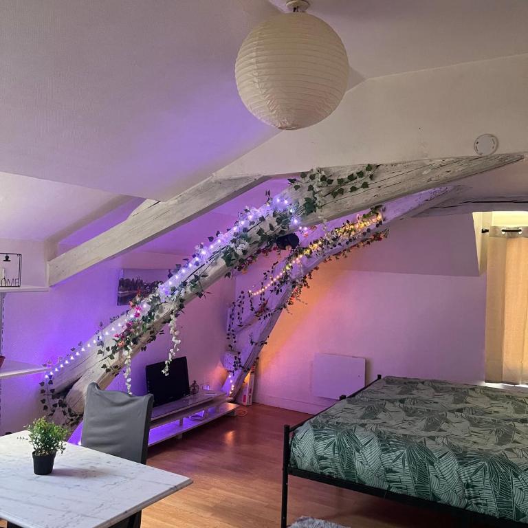 Jade 2 Lits Parking Business Famille Parking Privé - Appartement 1 Chambre - 2