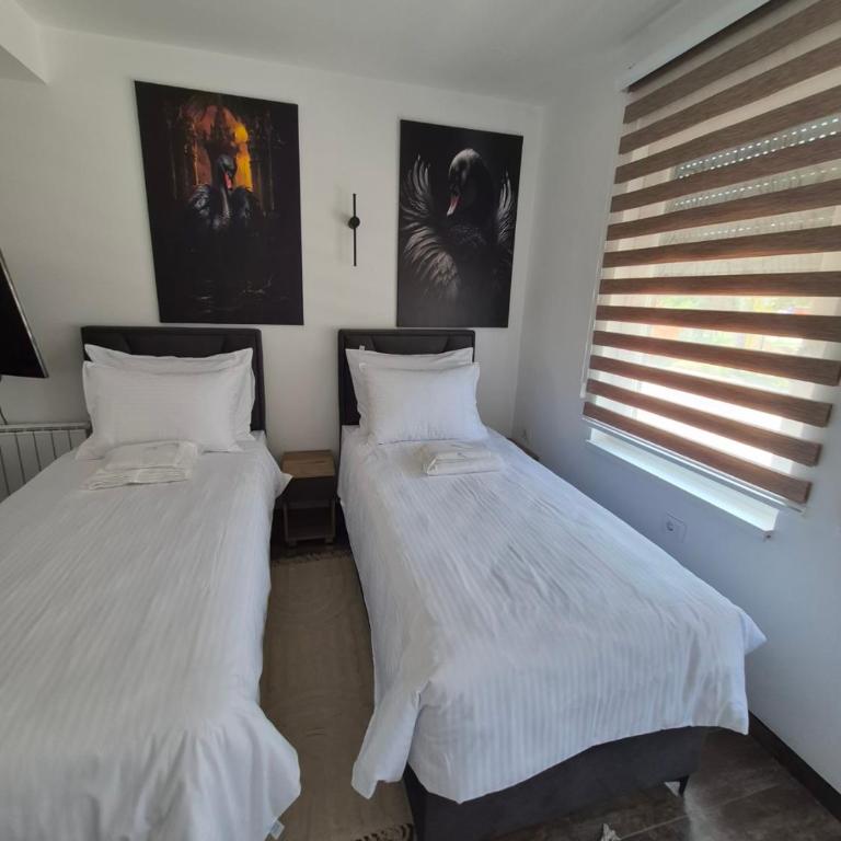 Black Swan Home Tuzla - Apartman sa 1 Spavaćom Sobom - 22