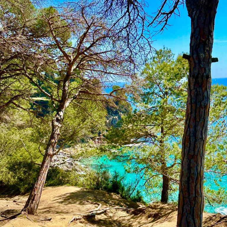 Neptuno, Cala Salions, Tossa de Mar, Costa Brava - Apartamento de 2 dormitorios con vistas al mar - 79