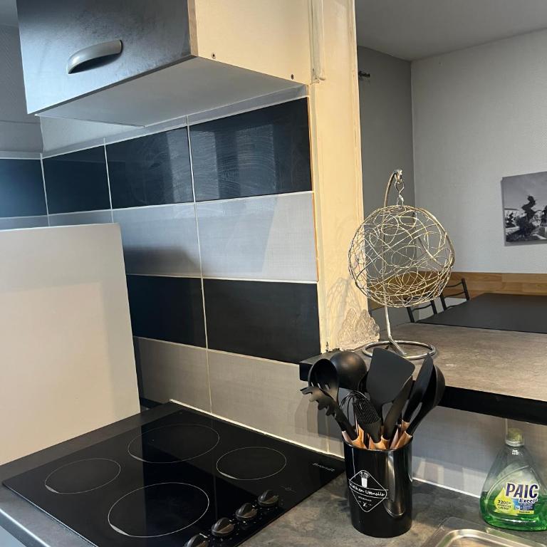 Appartement Business Famille Parking Privé - Appartement 1 Chambre - 13
