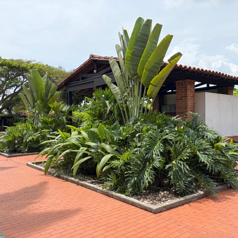 Casa Toscana - Casa de 7 dormitorios - 50