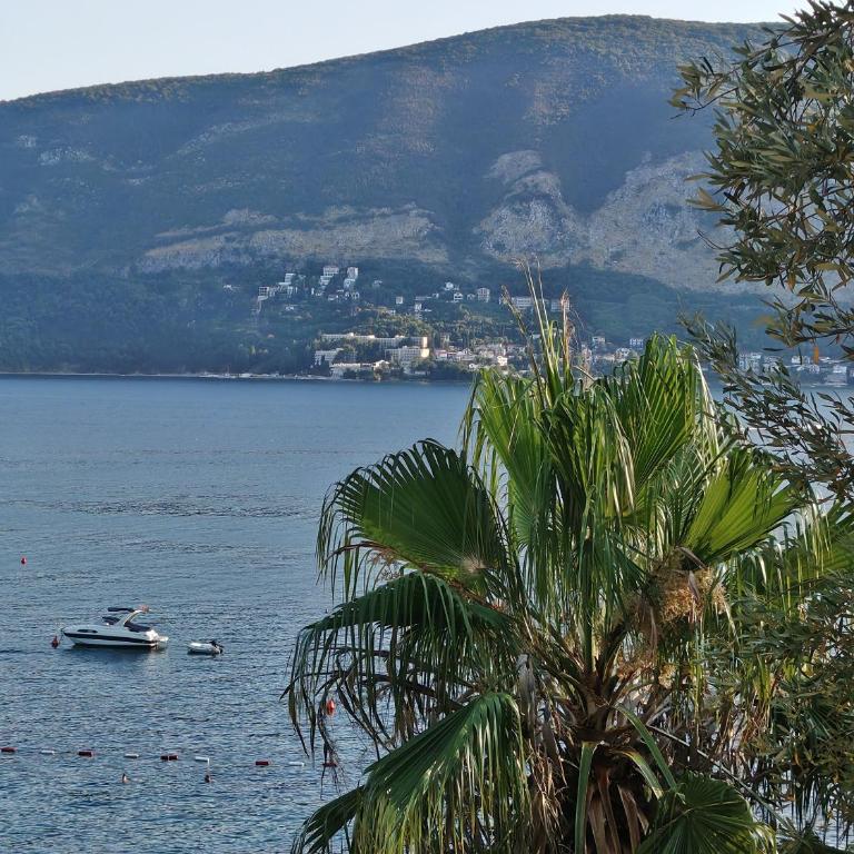 Apartman Mimoza - Apartman sa 2 Spavaće Sobe - 9