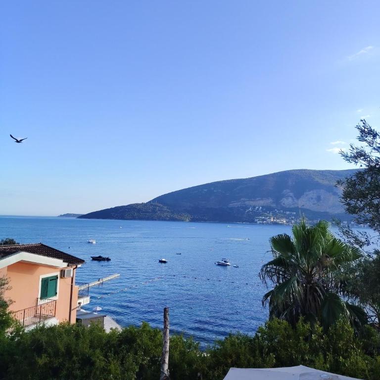 Apartman Mimoza - Apartman sa 2 Spavaće Sobe - 16