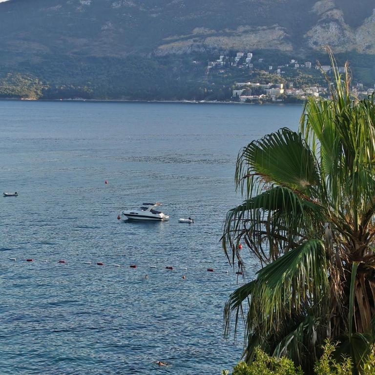Apartman Mimoza - Apartman sa 2 Spavaće Sobe - 18