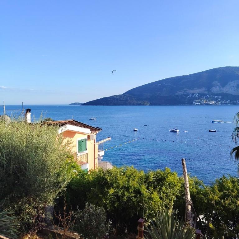 Apartman Mimoza - Apartman sa 2 Spavaće Sobe - 1