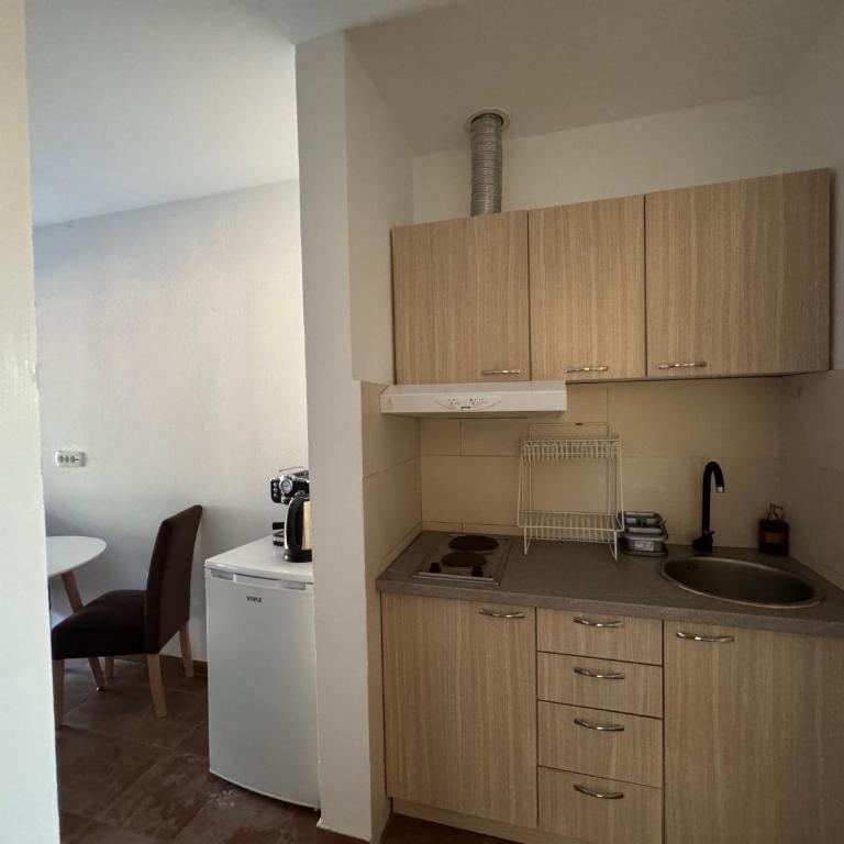 Apartmani Srdanovic - Apartman sa 1 Spavaćom Sobom - 6