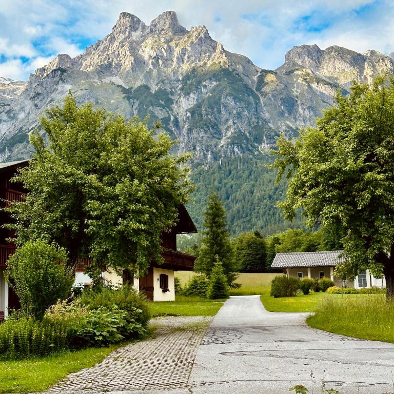 Berghof Werfenweng - Doppelzimmer mit Bergblick - 5