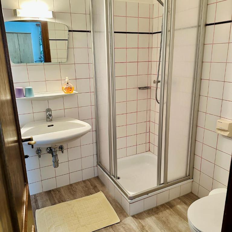 Berghof Werfenweng - Doppelzimmer mit Bergblick - 4