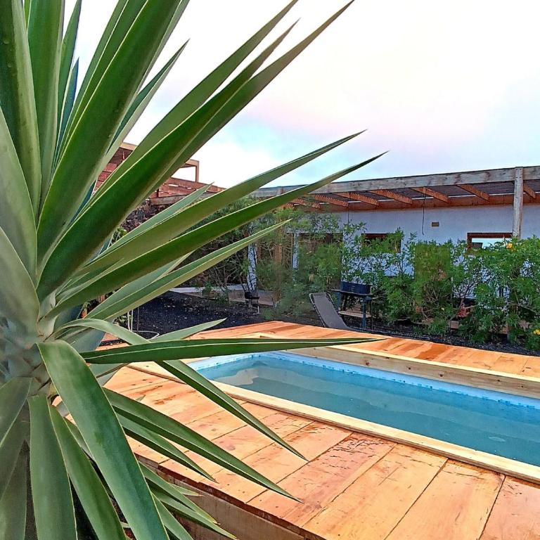 Aloha Studio - Apartamento de 1 dormitorio - 34