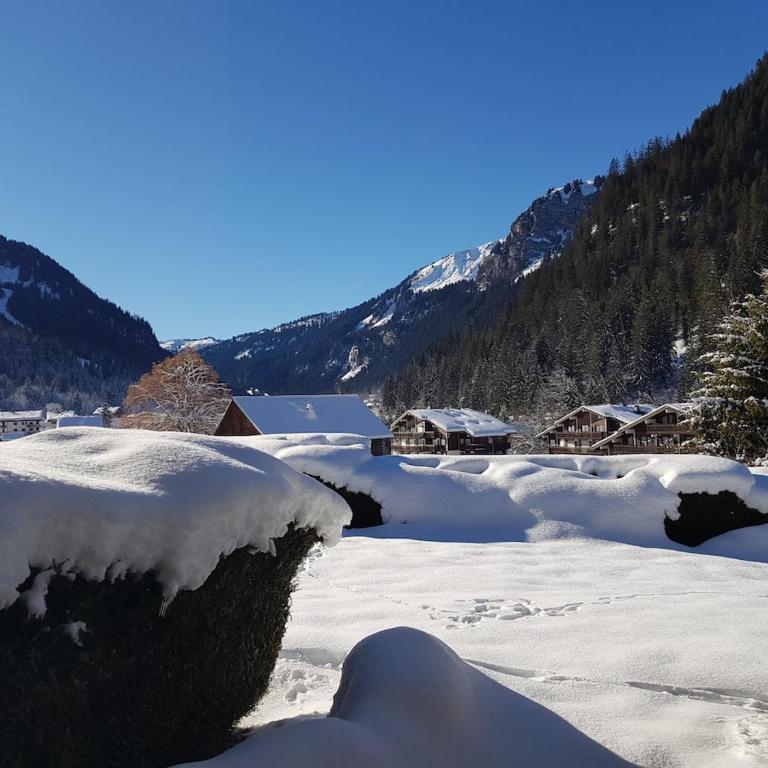 Chalet du Loy - Appartement 2 Chambres - 7