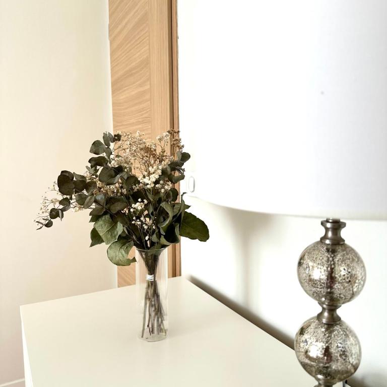 Superbe Chambre Privée Centre-ville Parking Clim Grand appartement Calme Luxe - Chambre Double - 3