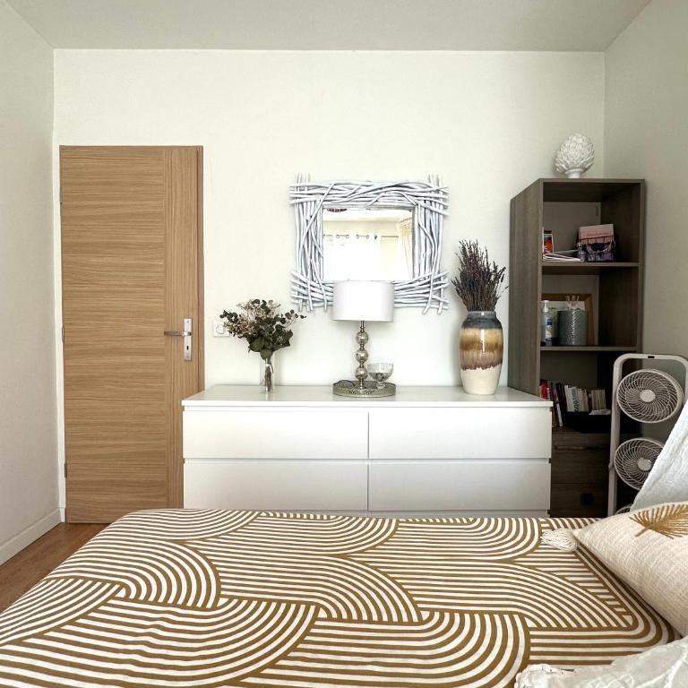 Superbe Chambre Privée Centre-ville Parking Clim Grand appartement Calme Luxe - Chambre Double - 5