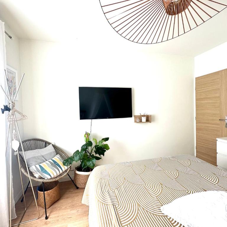 Superbe Chambre Privée Centre-ville Parking Clim Grand appartement Calme Luxe - Chambre Double - 13