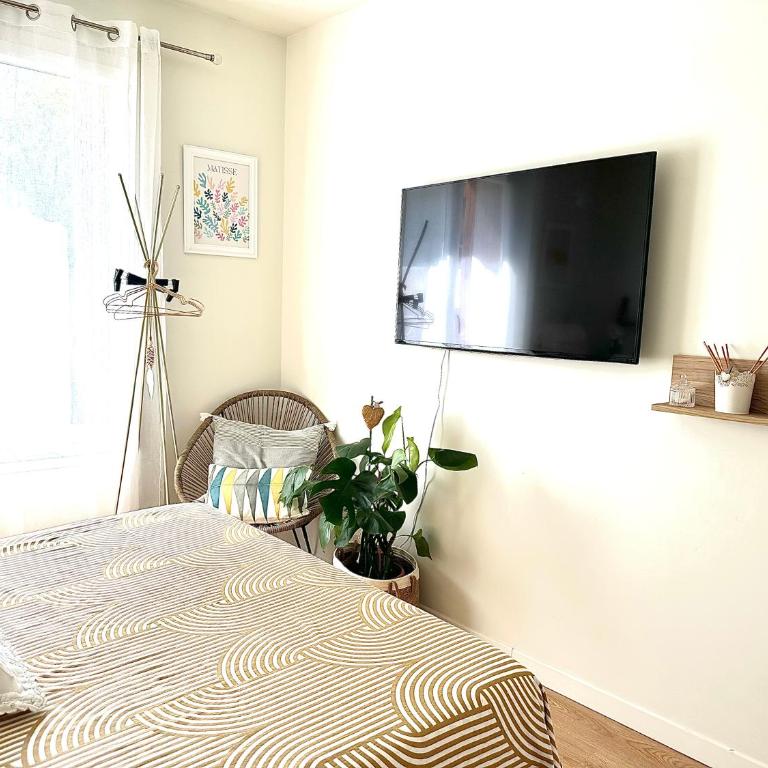 Superbe Chambre Privée Centre-ville Parking Clim Grand appartement Calme Luxe - Chambre Double - 8