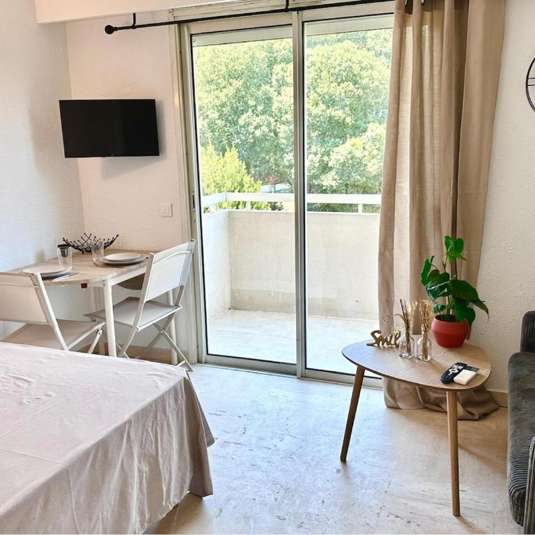 Nice studio with sleeping area, pool, parking, air conditioning - Appartement 1 Chambre - 1