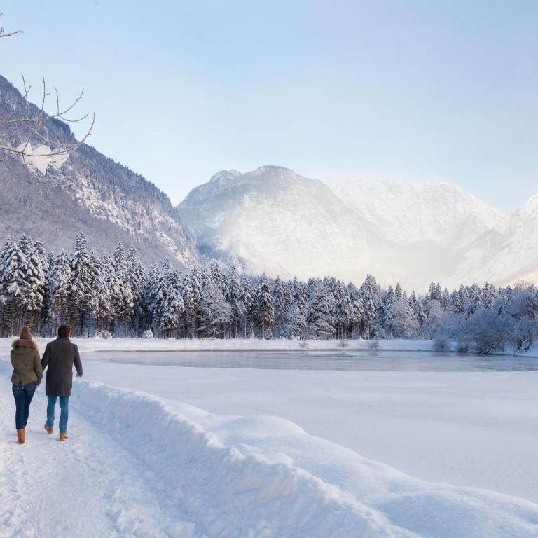 Forest Chalet, all famous ski areas around us, 15 min to city of salzburg, mountainview, panorama sauna, bath whirlpool, fire pit in garden up to 10 p - Haus mit 4 Schlafzimmern - 56