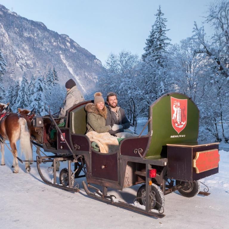 Forest Chalet, all famous ski areas around us, 15 min to city of salzburg, mountainview, panorama sauna, bath whirlpool, fire pit in garden up to 10 p - Haus mit 4 Schlafzimmern - 61