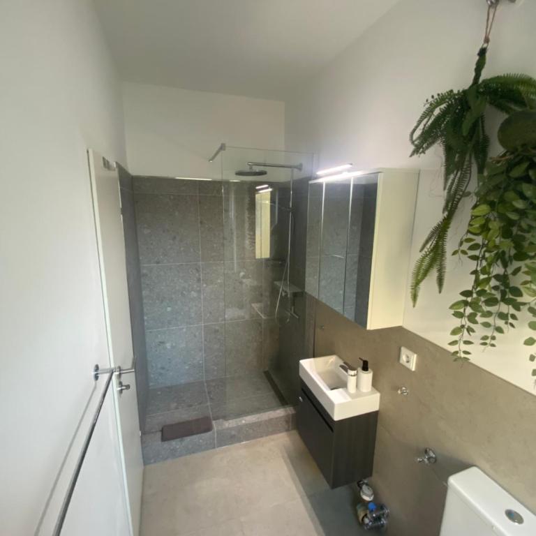 Kempten Zentral 1-Zimmer Apartment - Appartement 1 Chambre - 4
