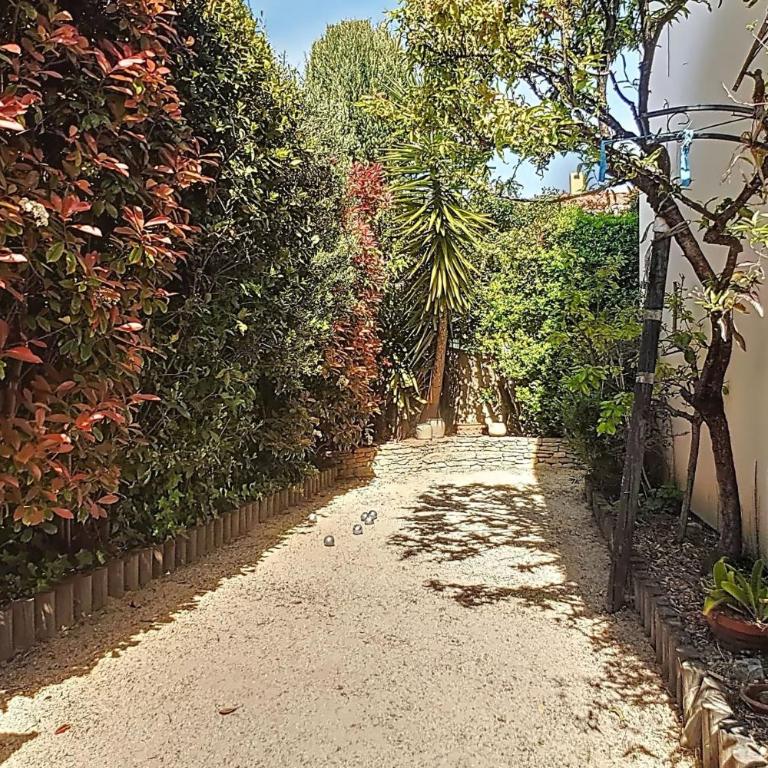 Family villa L'Hippocampe - Vacation Home - 14