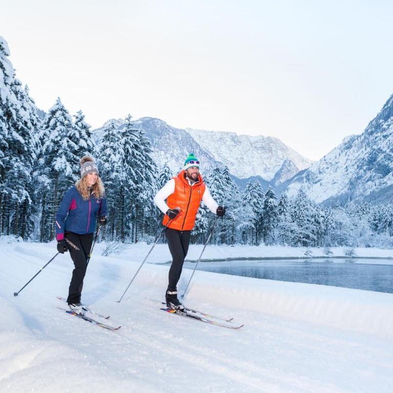 Forest Chalet, all famous ski areas around us, 15 min to city of salzburg, mountainview, panorama sauna, bath whirlpool, fire pit in garden up to 10 p - Haus mit 4 Schlafzimmern - 60