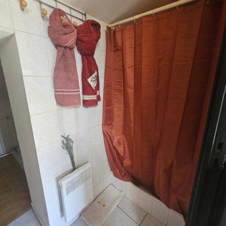 Charmant et Atypique T1Bis - Apartamento de 1 dormitorio - 11
