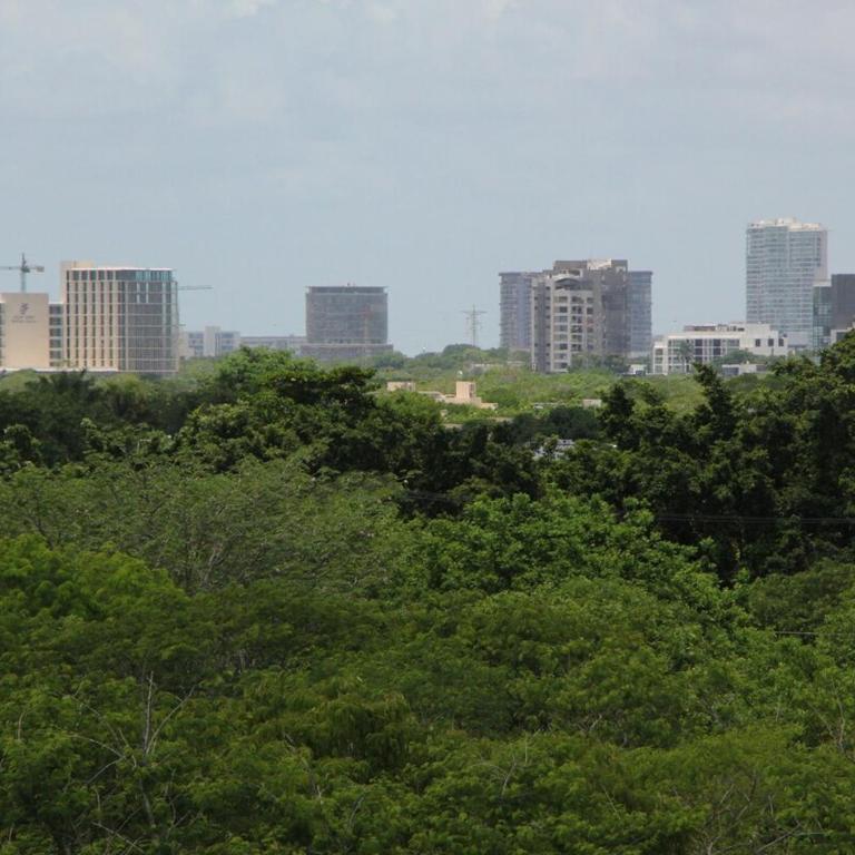 Exclusive Boutique Apartment in Mérida Norte - Two-Bedroom Apartment - 21