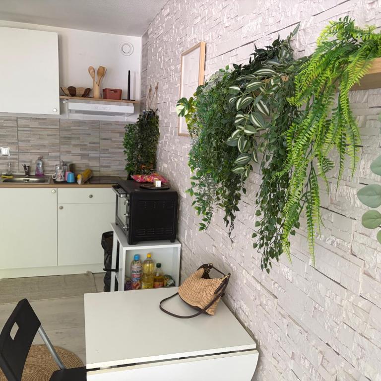 Studio cabine Justine - Apartment mit 1 Schlafzimmer - 9