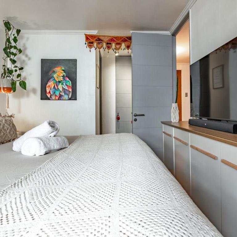 Relaxation oasis in Lastarria - Two-Bedroom Apartment - 14