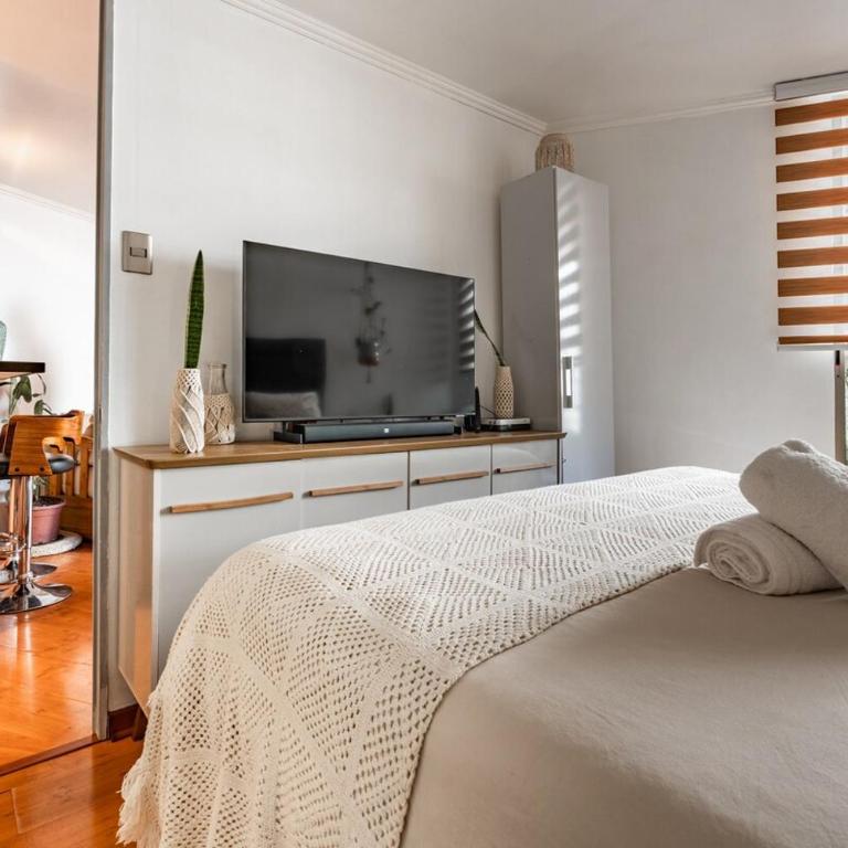 Relaxation oasis in Lastarria - Two-Bedroom Apartment - 16