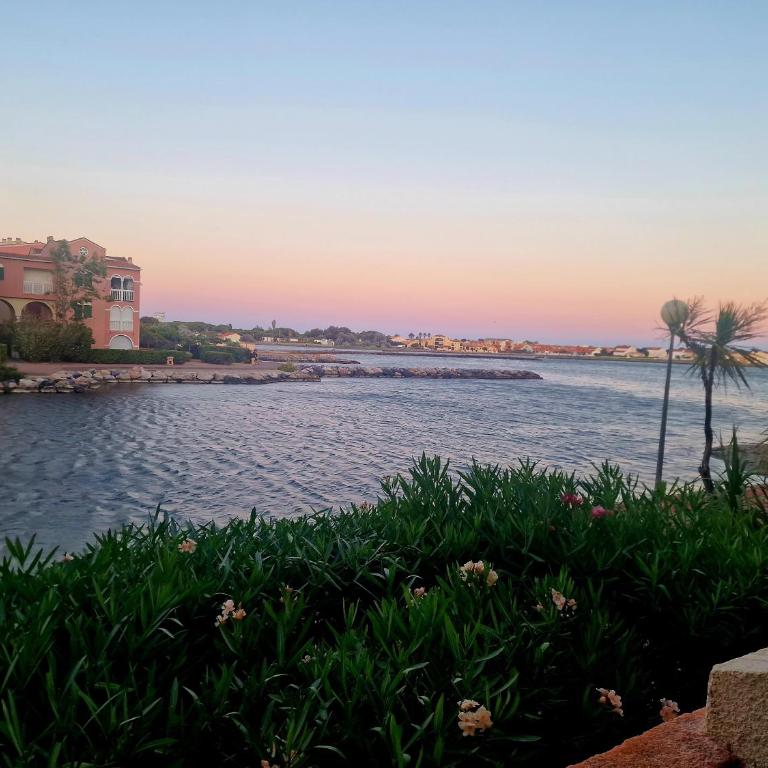 F2 avec terrasse et vue lagune RDC Cap Coudalère - Apartamento de 1 dormitorio con vistas al lago - 16