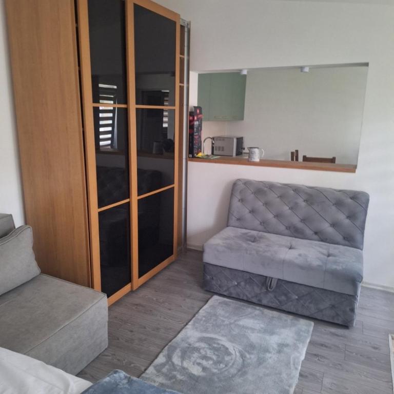 Lukačević apartmani - Apartman sa 1 Spavaćom Sobom - 4