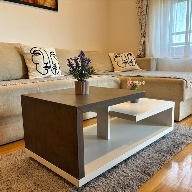 Apartman Luna Binis Zlatibor - Appartement 1 Chambre - 3