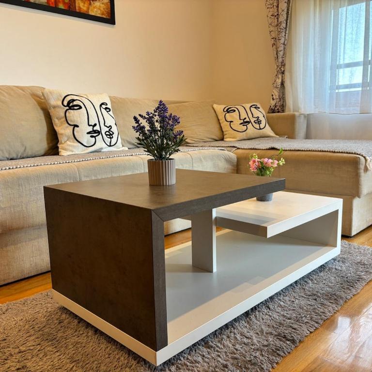 Apartman Luna Binis Zlatibor - Appartement 1 Chambre - 9
