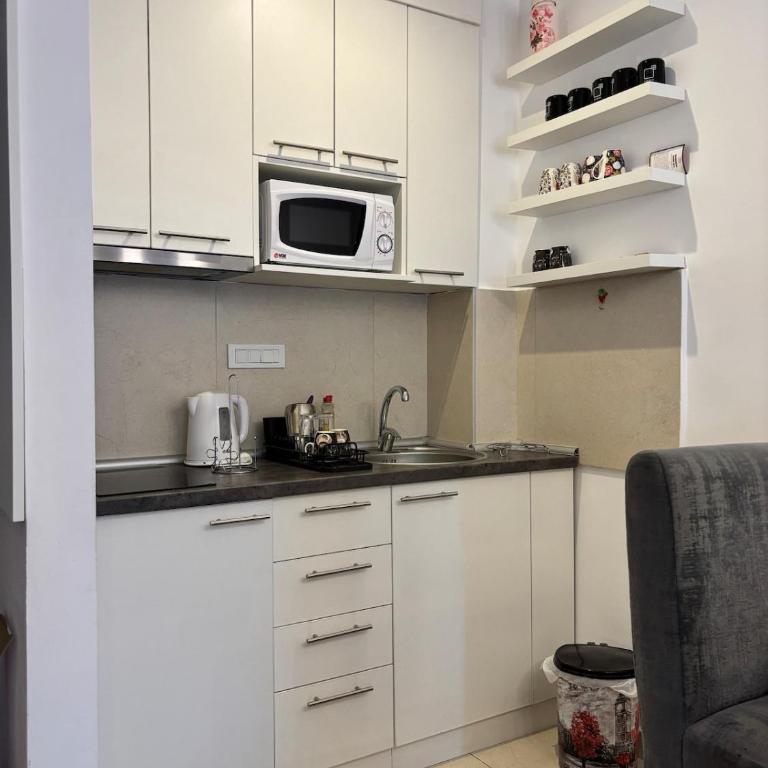 Apartman Luna Binis Zlatibor - Appartement 1 Chambre - 13