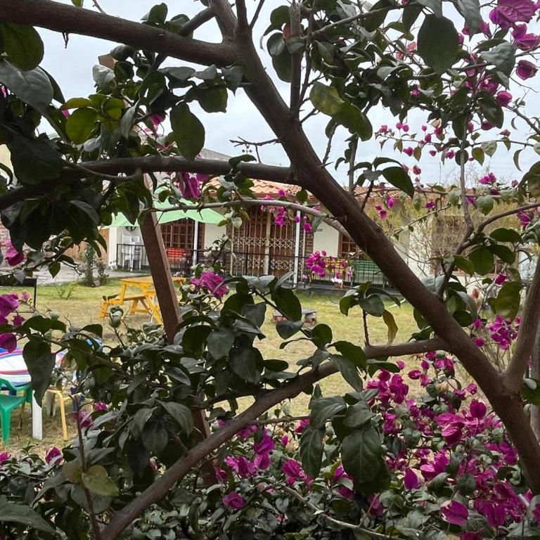 Casa familiar con vista al Chimborazo - Descubre Riobamba - Casa de 2 dormitorios - 25