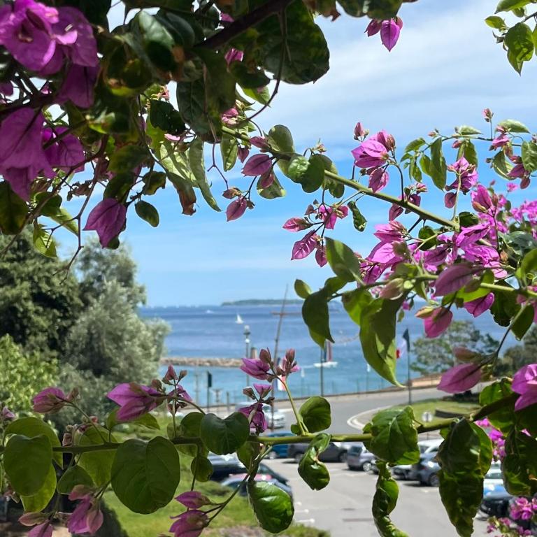 Magnifique villa proche mer, commerces, Cannes, Antibes 6p - Villa 3 Chambres - 7
