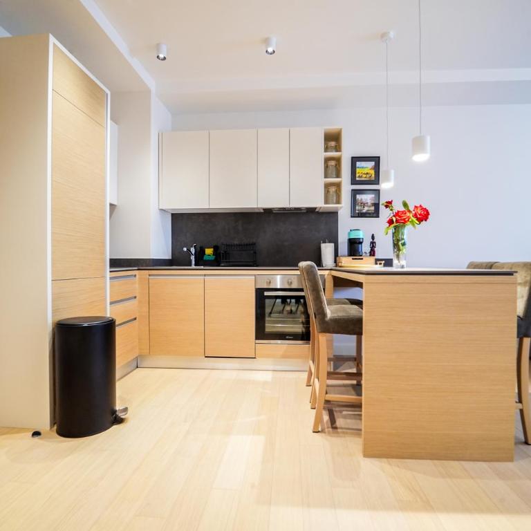 Hygge Apartman Zepterme - Vrnjačka Banja - Deluks Suite sa Bračnim Krevetom (King-size) - 8