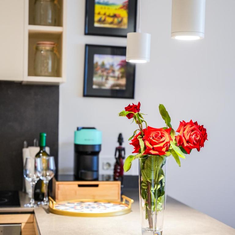 Hygge Apartman Zepterme - Vrnjačka Banja - Deluks Suite sa Bračnim Krevetom (King-size) - 14