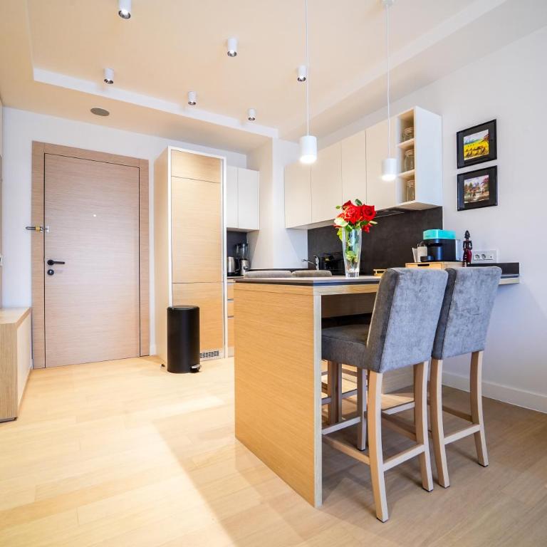 Hygge Apartman Zepterme - Vrnjačka Banja - Deluks Suite sa Bračnim Krevetom (King-size) - 37