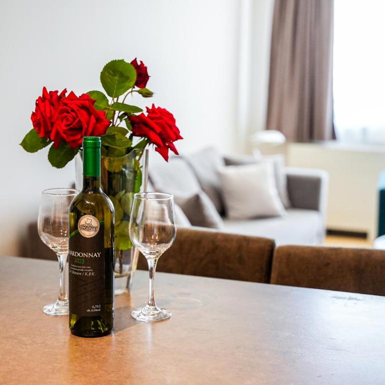 Hygge Apartman Zepterme - Vrnjačka Banja - Deluks Suite sa Bračnim Krevetom (King-size) - 45